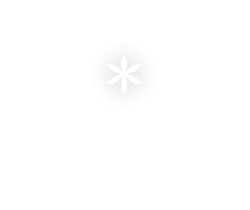 Ayama Yoga Training Retreats 